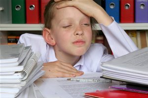 District - Addressing Social Emotional Needs