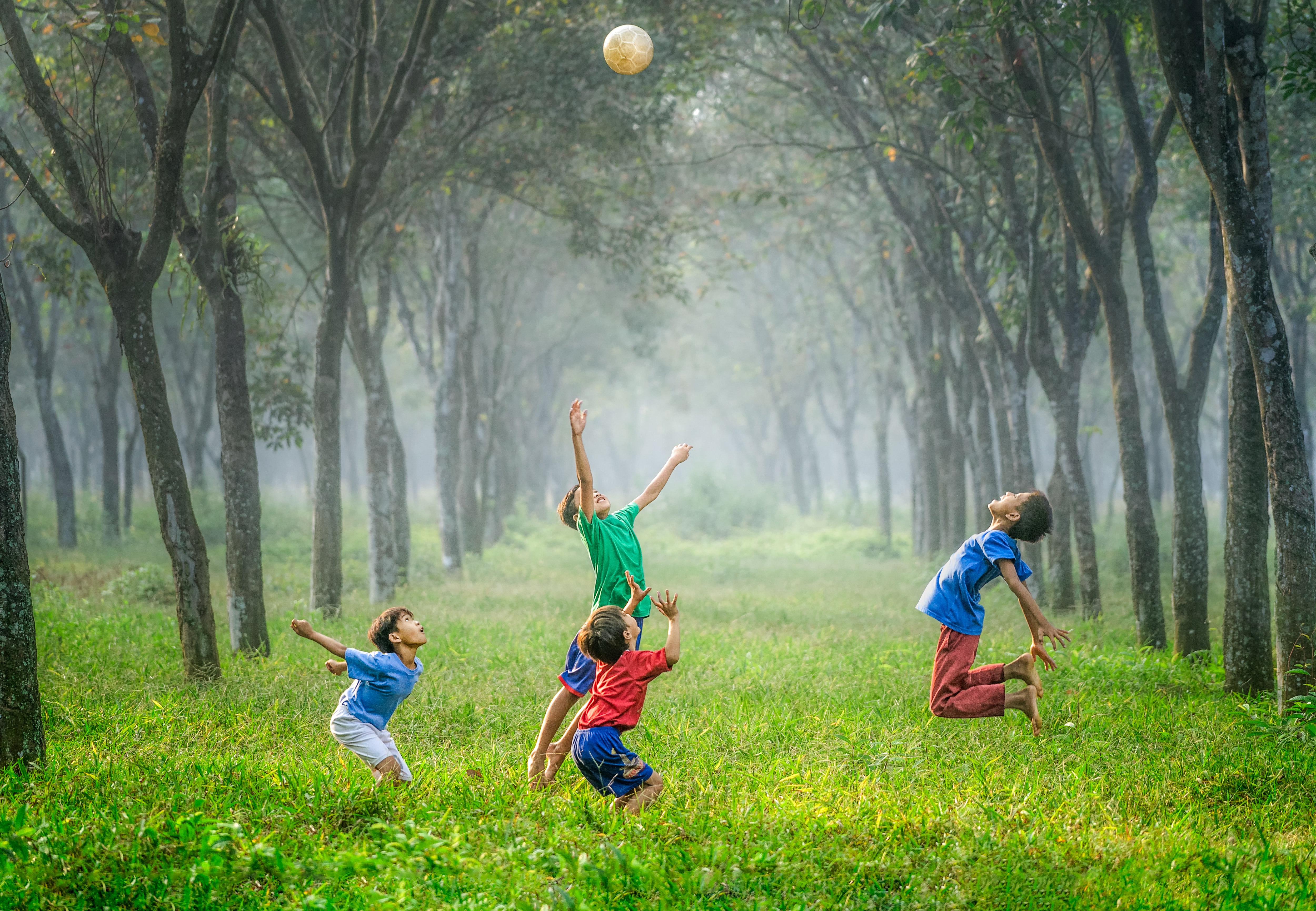 children jumping in a forest