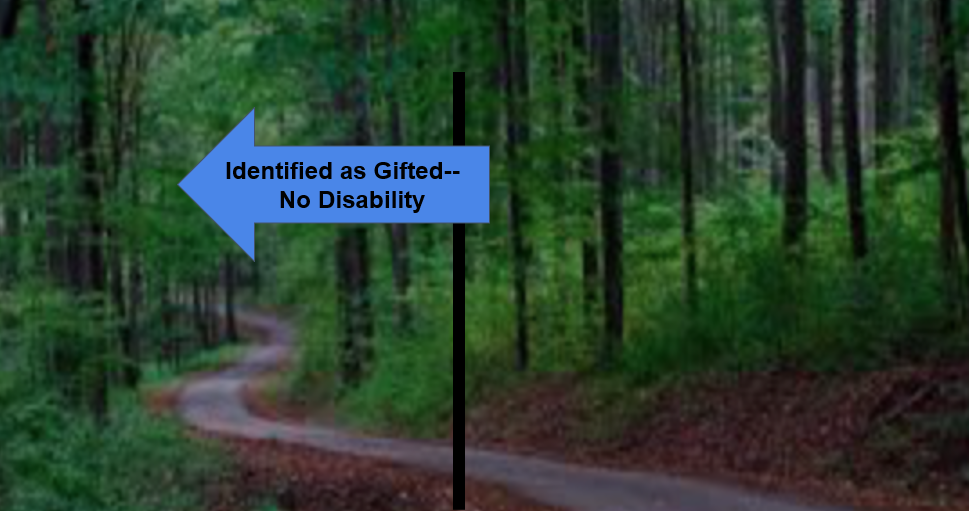 Forest picture with arrow saying "Identified as gifted but no disabilty"