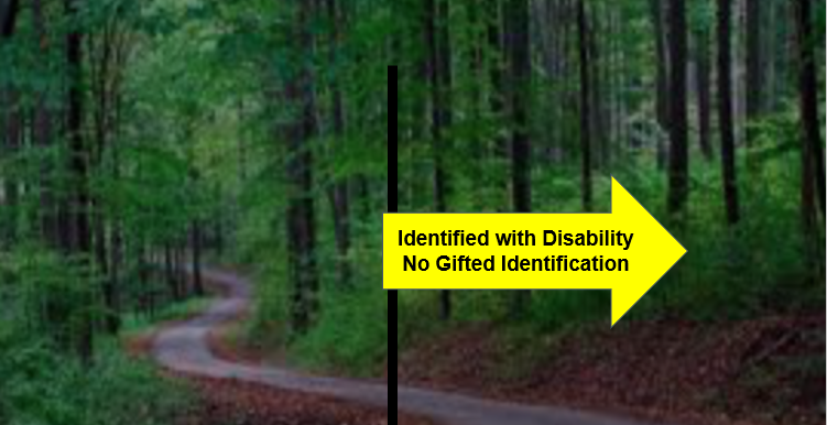 Picture of woods with sign saying :Identificaiton with Disability No Gifted Identification"