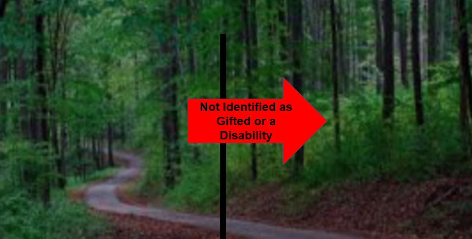 Woods with sign saying "Not Identified as Gifted or a Disability"