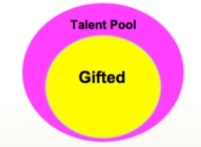 Image:  Gifted/Talent Pool