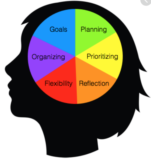 Brain Image with executive function icons