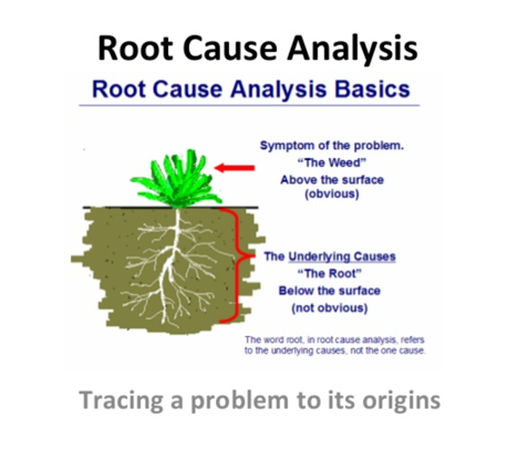 illustration of root cause using plant picture as metaphor